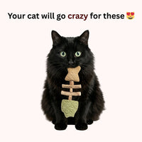 Catnip