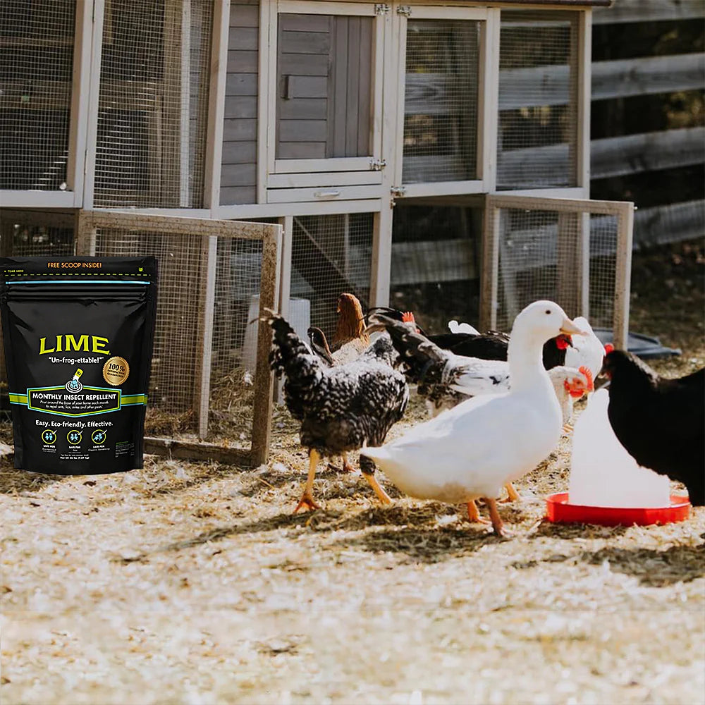 Natural Outdoor Pest Repellent for Ants, Ticks and Fleas