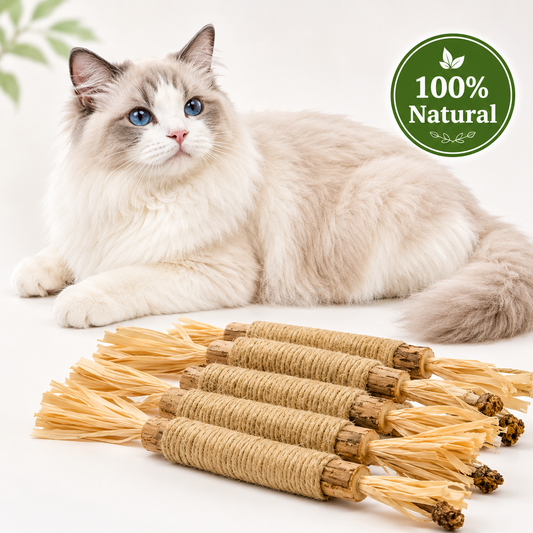 Natural Silvervine Dental Sticks