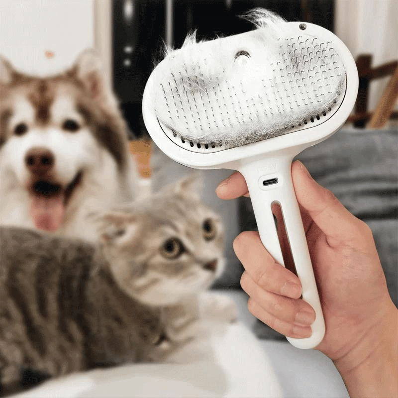 Pet Spray Hair Removal Comb, 1-piece pet hair brush