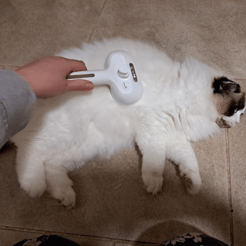 Pet Spray Hair Removal Comb, 1-piece pet hair brush