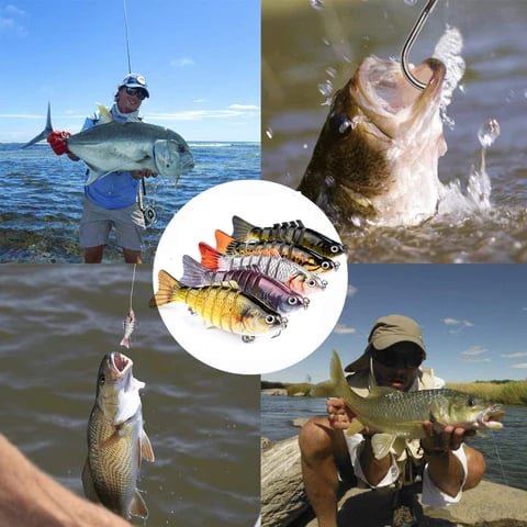 Bionic swimming bait